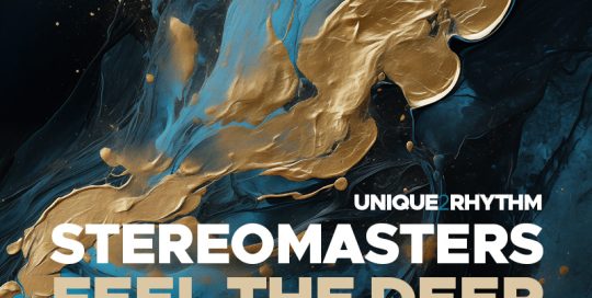 Stereomasters - Feel the deep (Original Mix Remastered)
